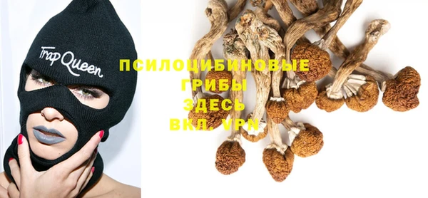 стаф Семикаракорск