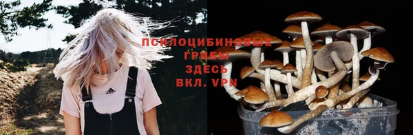 Альфа ПВП Алзамай